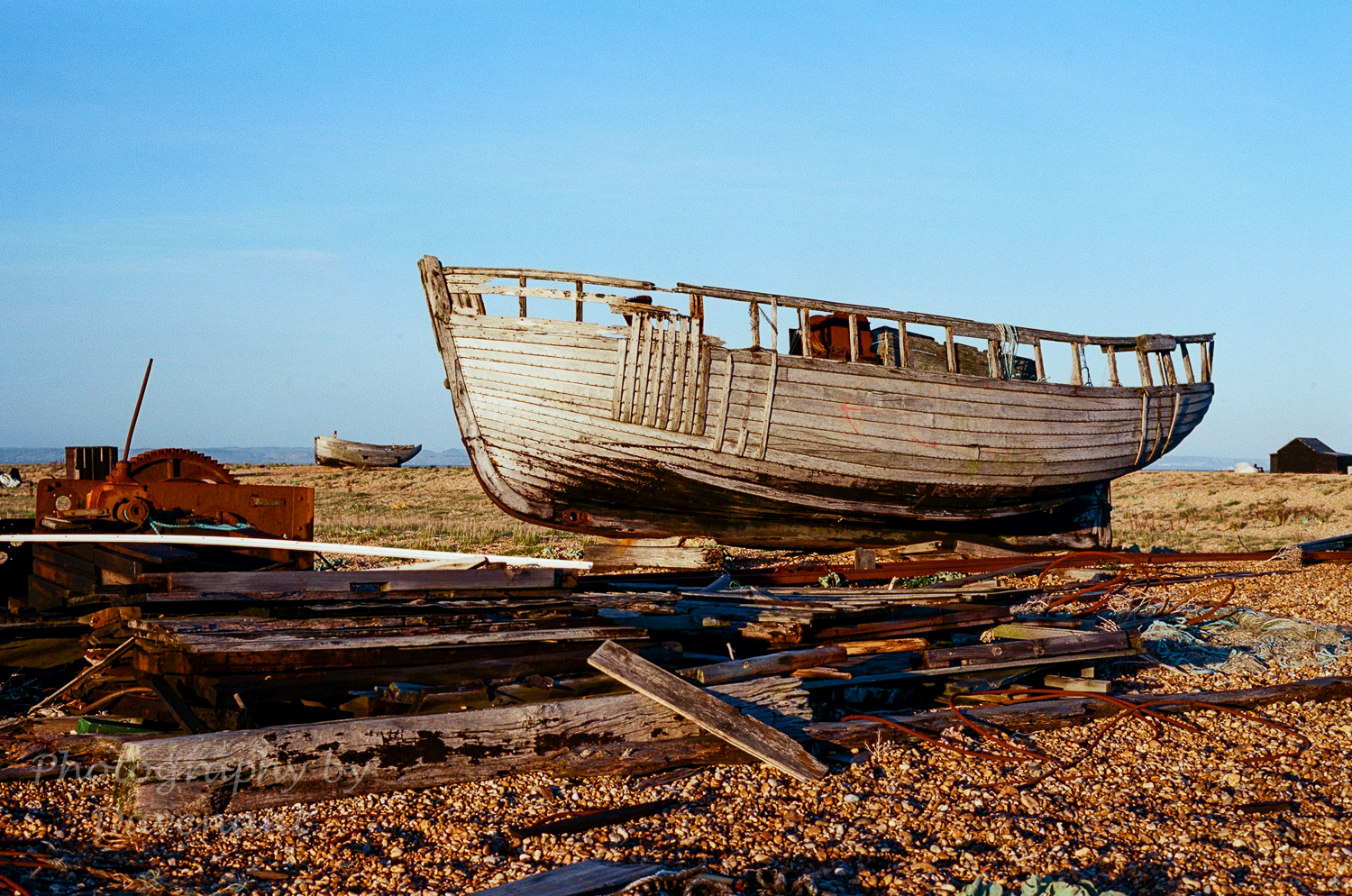 Dungeness